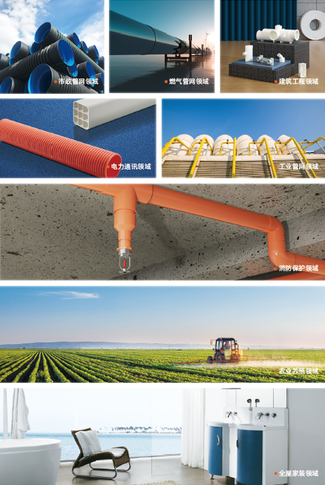 大宝娱乐-LG游戏|PT游戏|CQ9游戏